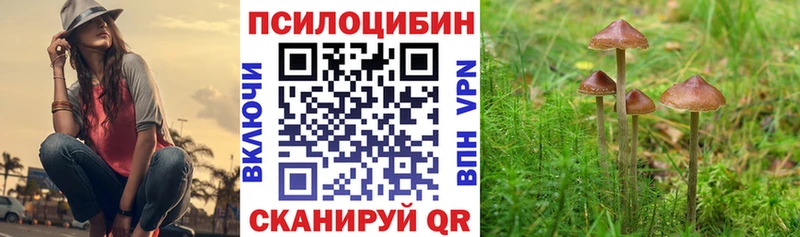 Галлюциногенные грибы мухоморы  дарнет шоп  гидра ONION  Белогорск 