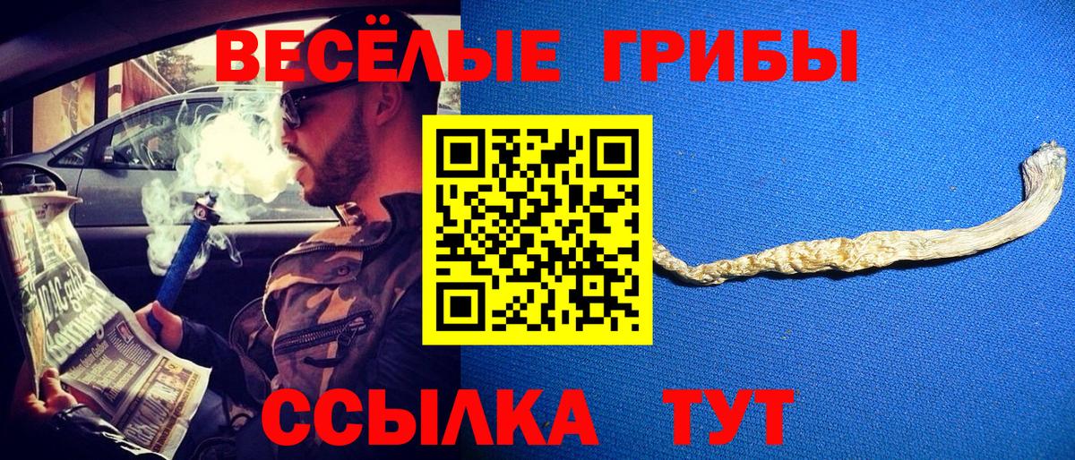 Псилоцибиновые грибы Cubensis Белогорск